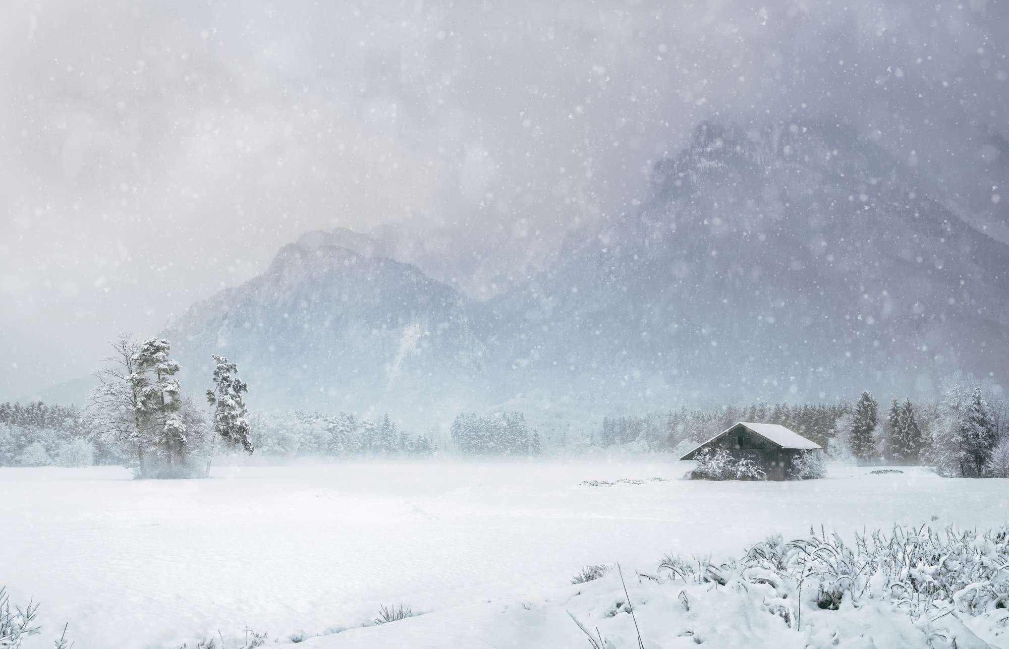A cabin in a forrest clearing with a mountain in the beackground; everything is covered by snow
