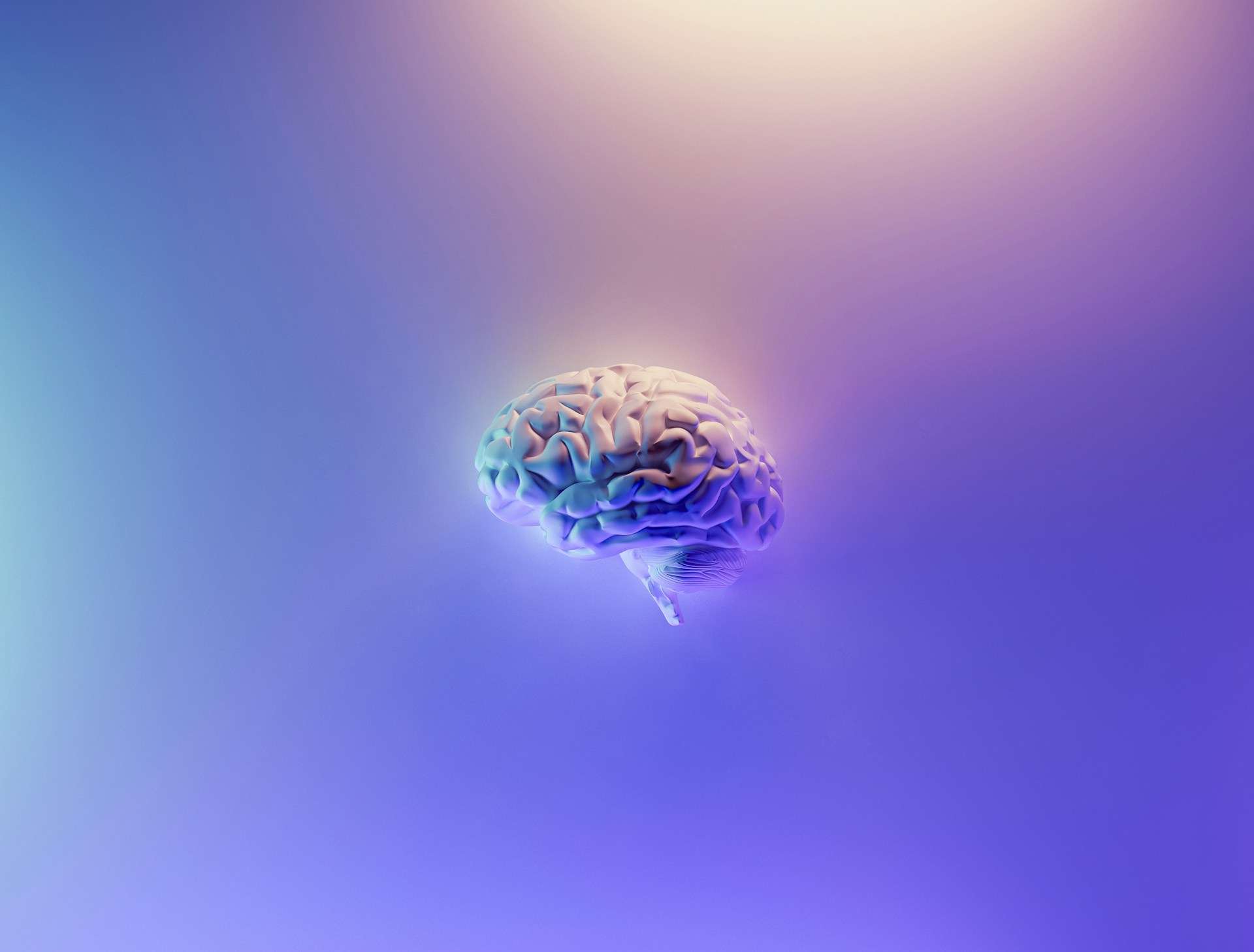 A sculptured brain on an indefinite white surface, both strongly colored by blue and purple light